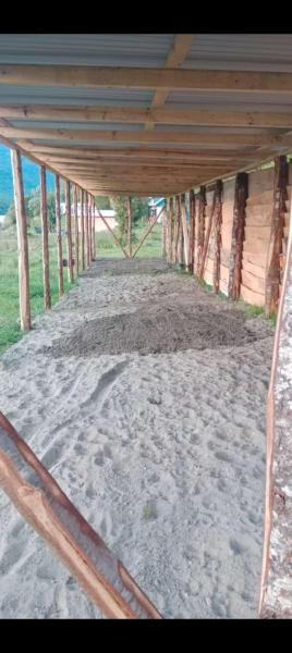 Camping tronador